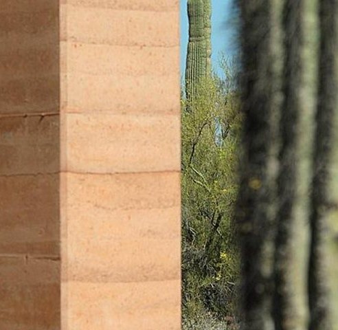 Rammed-earth wall beside a saguaro, every lift visible in the surface