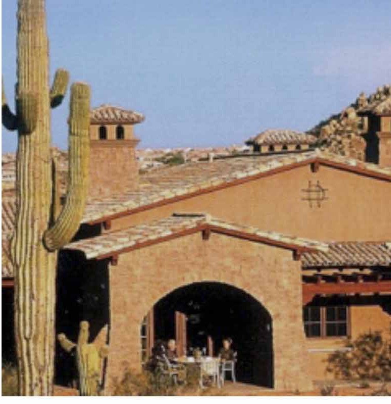 Tile-roofed house behind a saguaro, its arcade in shadow